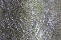 The Hacket fibreglass roof work